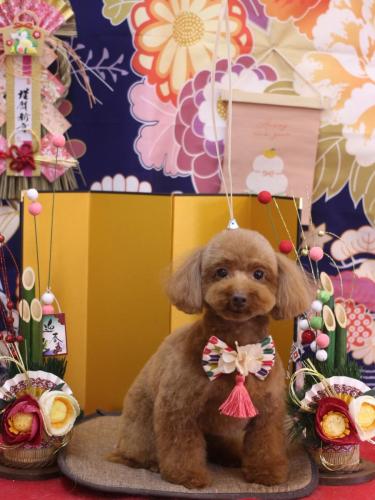 20240130永遠ちゃん 